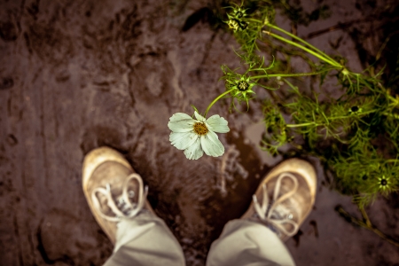 Point of view shot of somebody looking a their muddy shoes and a flowerの写真素材