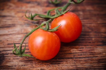 Two red cherry tomatoes on the vineの写真素材