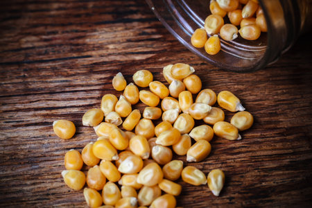Raw corn seeds and jar on a wooden table