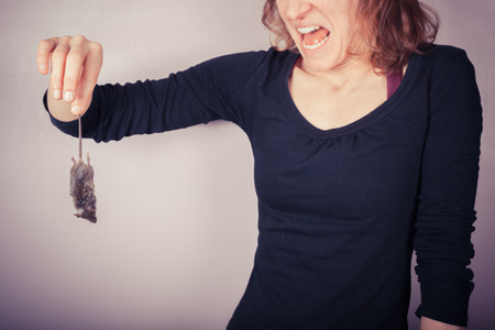 A squeamish and disgusted woman is holding a dead mouse by it's tailの写真素材
