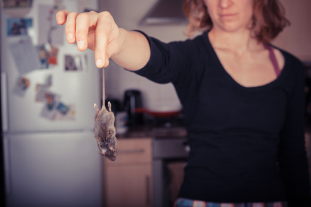 Young woman holding a dead mouse by it's tail in her kitchenの写真素材