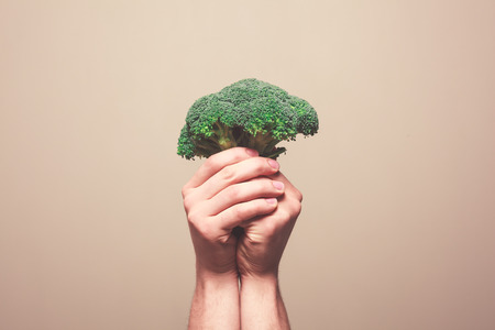 Two hands are holding a floret of broccoli in a symbolic mannerの写真素材