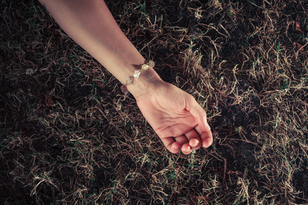 The hand of  a young woman as she is lying in the grassの写真素材