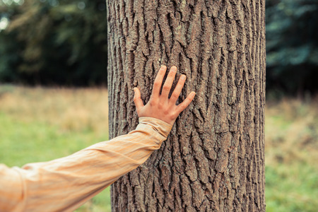 A young woman is relaxing and leaning up against a tree in the forestの写真素材