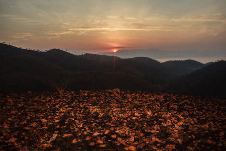 Sunrise over the mountains in a tropical countryの写真素材