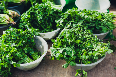 Bunches of coriander at a vegetable marketの写真素材