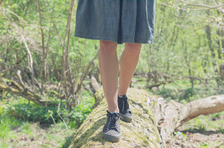 The legs of a young woman as she is walking on a felled tree in the forest on a sunny dayの写真素材