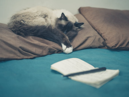A cat is sleeping on a bed with a notepad and pen next to itの写真素材