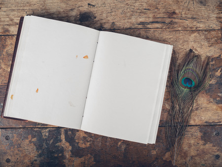 An open notebook and a peacock feather on a wooden deskの写真素材