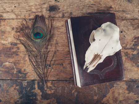 An old notebook with a peacock feather and a sheep skull on a wooden deskの写真素材