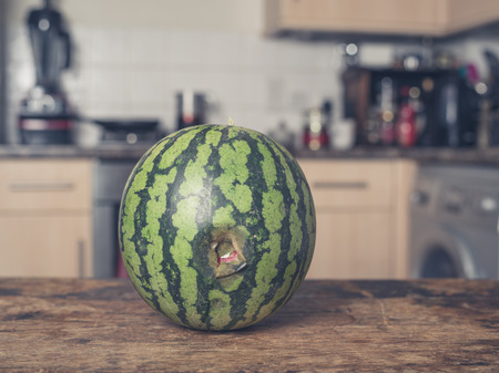 A bruised and rotten watermelon on a table in a kitchenの写真素材