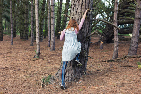 A young woman is climbing a tree in the forestの写真素材