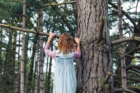 A young woman is climbing a tree in the forestの写真素材