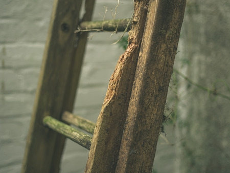 An old wooden ladder outside against a wallの写真素材