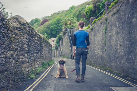 A young woman is standing in the street of a village with a leonberger puppyの写真素材