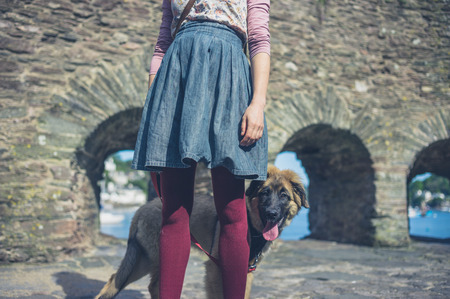 A young woman is walking a Leonberger puppy near an old stone wall by the seaの写真素材