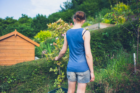 A young woman is standing in her garden with a small oak tree