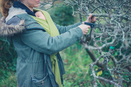 A woman with a baby in a sling is cutting a tree with a sawの写真素材