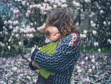 A young mother with her crying baby in a sling is standing by a magnolia treeの写真素材