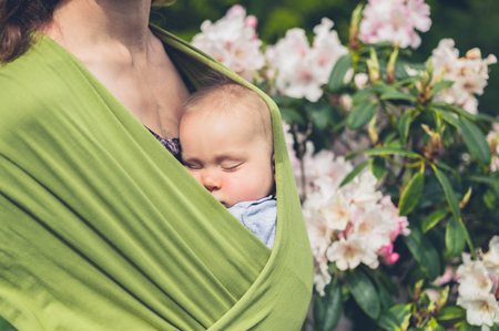A cute little baby in a sling carried by his mother is sleeping by a camellia bushの写真素材