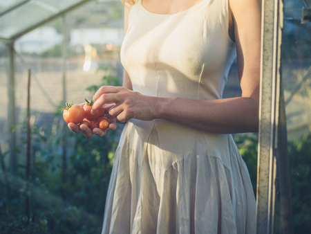 A young woman wearing a dress is standing in her greenhouse at sunset with some tomatoes in her handの写真素材