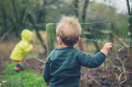 A little baby is standing by a fence on a farmの写真素材