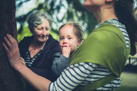 A mother, grandmother and small toddler are touching a giant redwoodの写真素材
