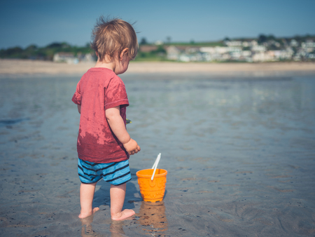 A cute little toddler is playing on the beachの写真素材