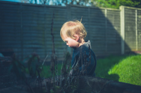 A little toddler is standing in the garden on a sunny day