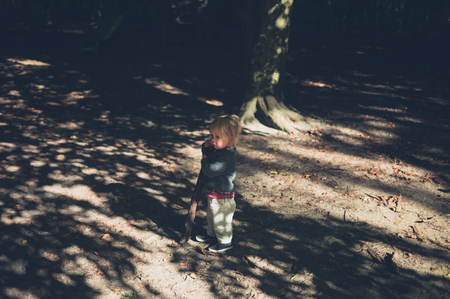 A little toddler is standing in a forest in autumnの写真素材