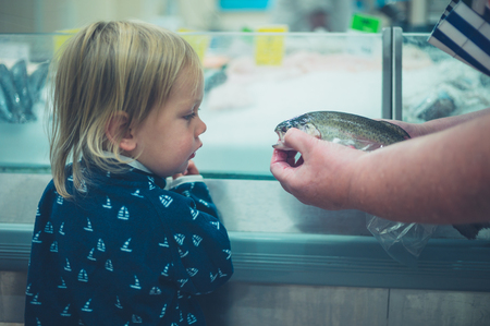 A little toddler is looking at a fish at the fish mongersの写真素材