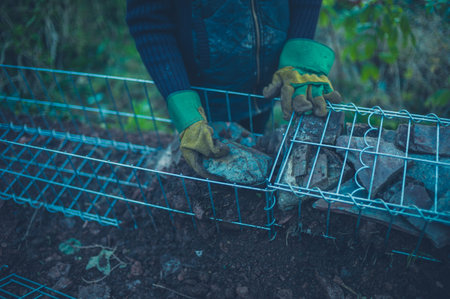 A gardener is putting some rocks in a steel gabianの写真素材