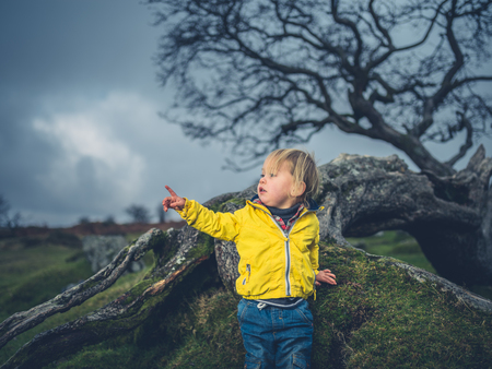 A little toddler is standing by a fallen tree on the moor and is pointingの写真素材