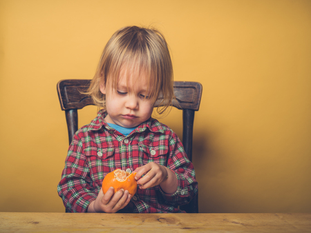 A little toddler boy is peeling a clementineの写真素材