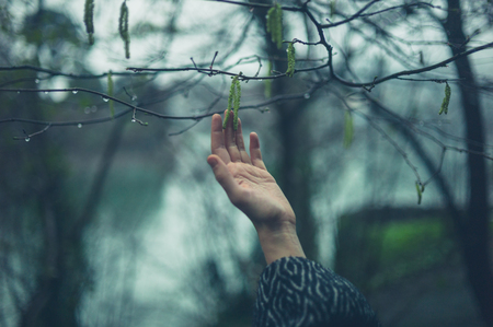 A young female hand is touching a tree branch in the winterの写真素材