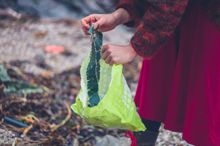 A young woman is cleaning up plastic rubbish on the beachの写真素材
