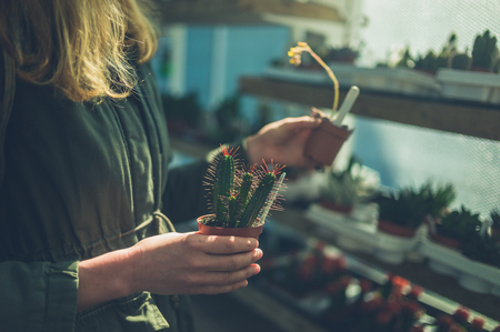 A young woman is looking at a cactus in a garden centerの写真素材