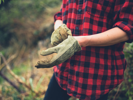 A young woman is putting on her gardening gloves in a gardenの写真素材
