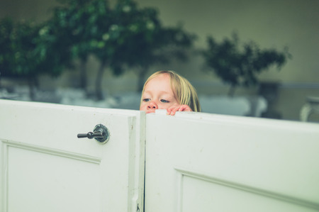 A little toddler is peaking over a gate from inside an orangeryの写真素材