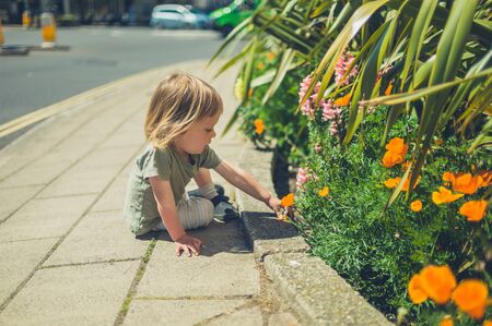 A little toddler is picking flowers in the street on a sunny summer dayの写真素材