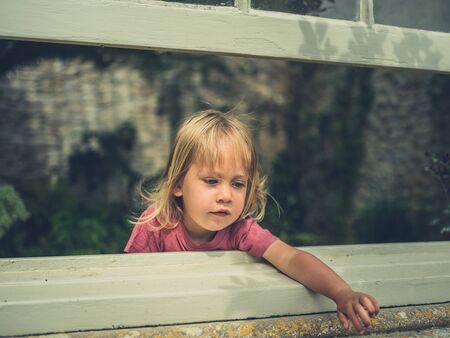 A little toddler is looking out the window from a conservatory in the summerの写真素材