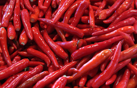 Red chilli peppers. 