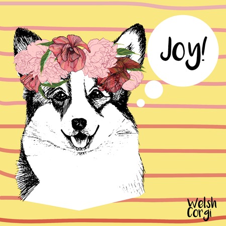 Vector close up portrait of welsh corgi pembroke girl, wearing the flower wreath. Hand drawn domestic pet dog illustration. Isolated on yellow background with rose stripes.のイラスト素材