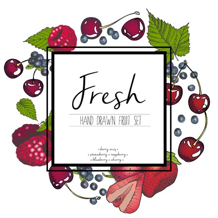 Vector set of berry mix. Strawberry, raspberry, blueberry, cherry. Hand drawn color set of summer fresh fruits with sqaure border text template.のイラスト素材