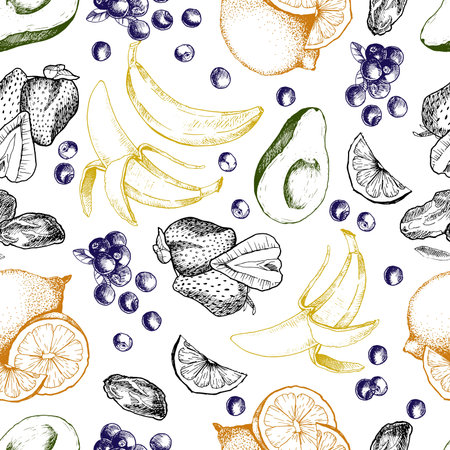 Vector hand drawn illustration of peach or apricot or nectarine fruit. Engraving summer fresh fruit...