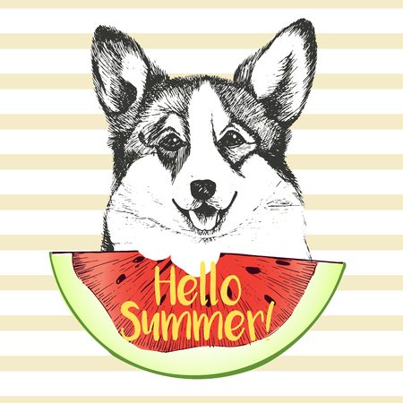 Vector hand drawn illustration of welsh corgi pembroke dog eating the watermelon slice. Hello summer. Isolated on light green strips. fresh fashion vibrant summer poster.のイラスト素材