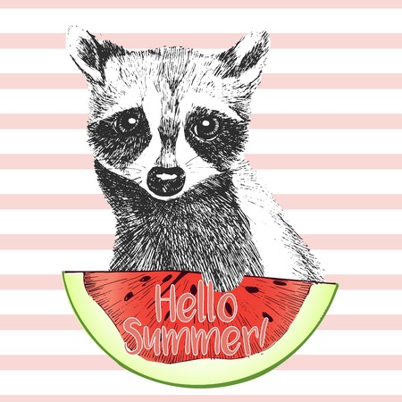 Vector hand drawn illustration of raccoon eating the watermelon slice. Hello summer. Isolated on light green strips. fresh fashion vibrant summer poster.のイラスト素材