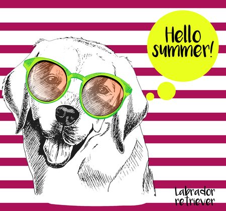 Vector close up portrait of labrador retriever wearing the sunglassess. Hello summer. Hand drawn  domectic dog illustration. Isolated on background with cherry strips.のイラスト素材
