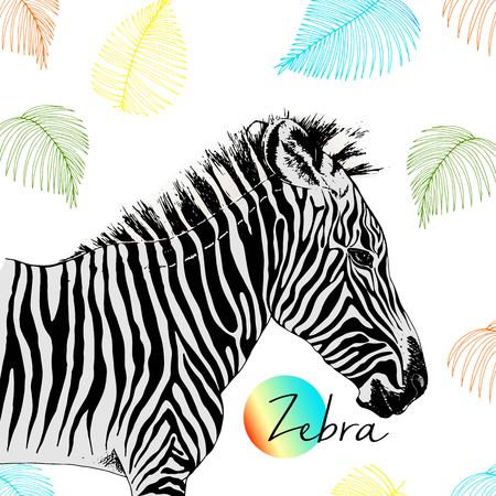 portrait of zebra. Wild African animals collection. Engraved hand drawn style. Decorated with palm leaves.のイラスト素材