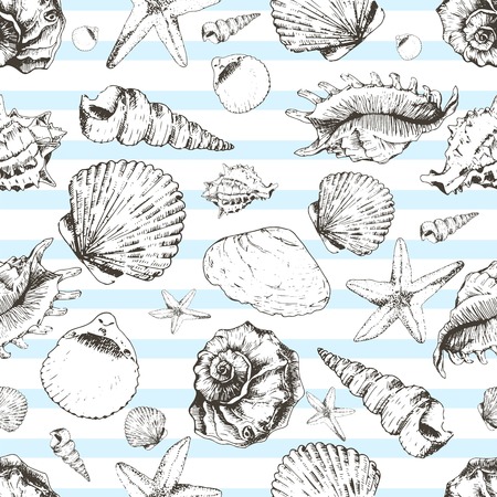 Vector seamless pattern of seashels. Hand drawn vintage engraved illustration of ocean underwater animals. Isolated on light blue strips.のイラスト素材